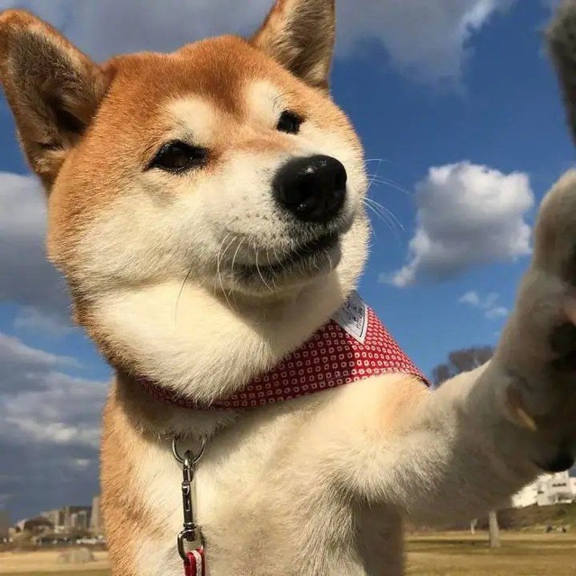 个人头像